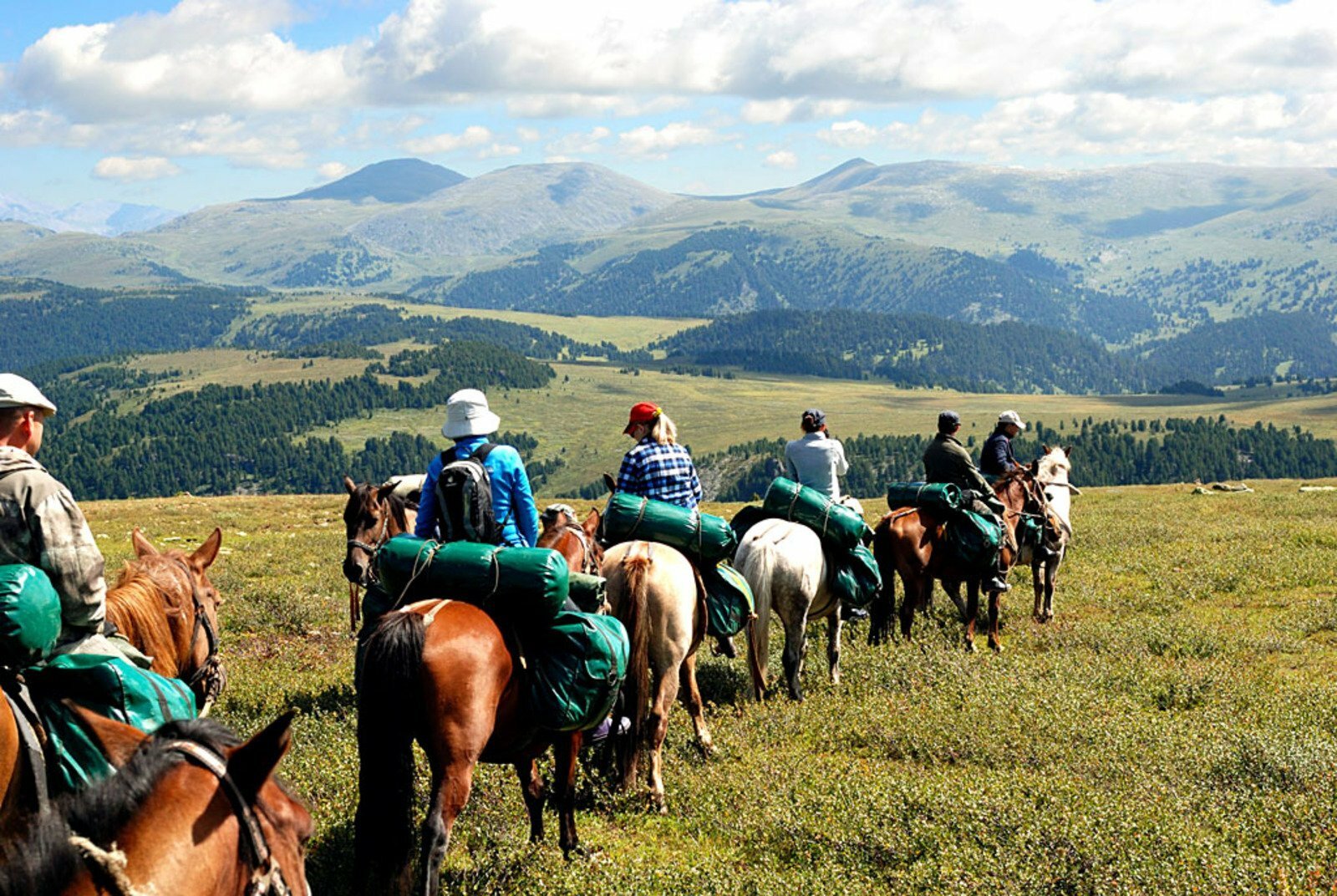 Конные прогулки
