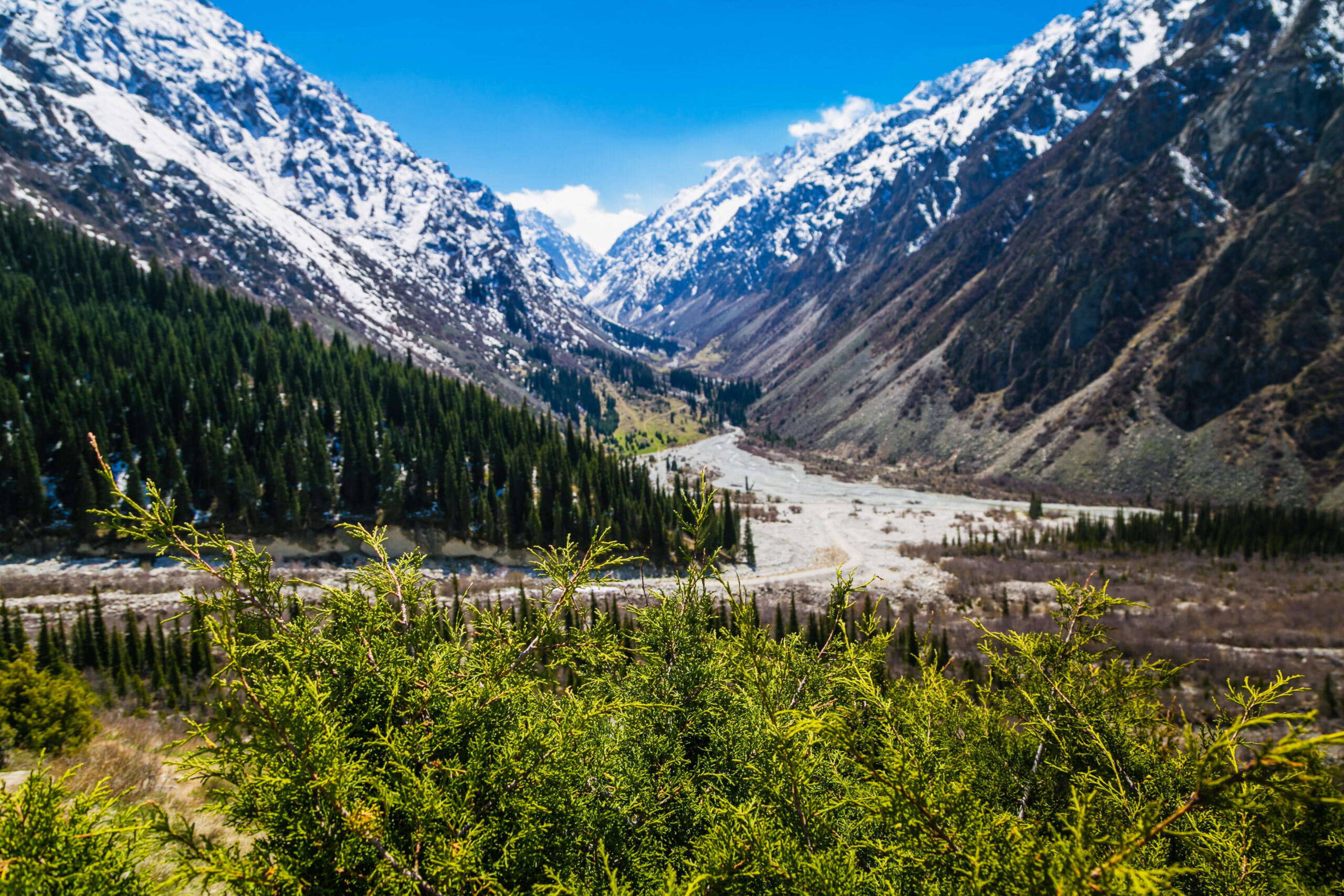 Ala,Archa,National,Park,,Kyrgyzstan